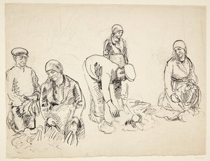 Řepné rekordéry. Studijní časopis od Peter Hansen