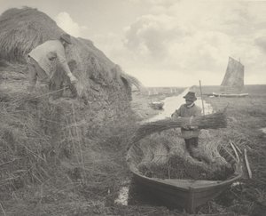 Ricking the Reed, 1886. Tvůrci: Dr. Peter Henry Emerson, Thomas Frederick Goodall. od Peter Henry Emerson, Thomas Frederick Goodall