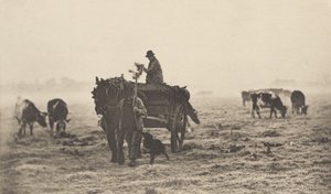 Mrazivé ráno od Peter Henry Emerson