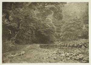 Tiché zákoutí v Beresford Dale od Peter Henry Emerson