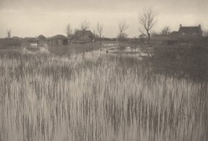 Ruský břeh,1886 (foto) od Peter Henry Emerson