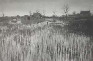 Rušný břeh od Peter Henry Emerson