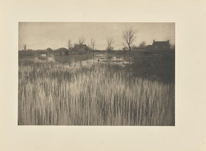 Rušný břeh od Peter Henry Emerson