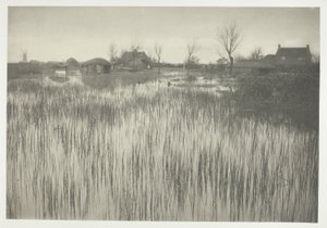Rušný břeh od Peter Henry Emerson