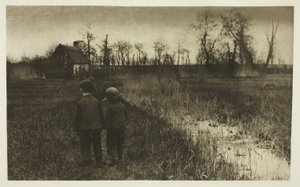 Ropucha v cestě: Předjaří v Norfolku od Peter Henry Emerson
