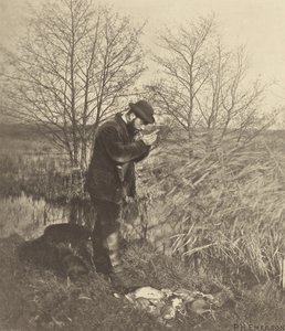 V utajeném koutě. [Norfolk.] od Peter Henry Emerson