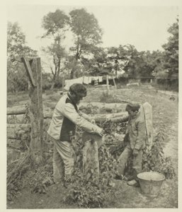 Na farmě Grindstone-A Suffolk od Peter Henry Emerson