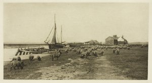 Blackshore, River Blythe (Suffolk) od Peter Henry Emerson