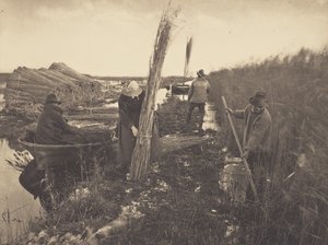  od Peter Henry Emerson