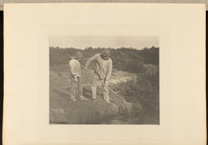 Úhoř  sběr ve vodách Suffolku od Peter Henry Emerson