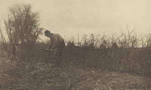 Oplocení v Suffolku od Peter Henry Emerson