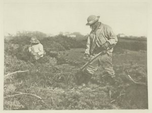 Furze-Cutting na Suffolk Common od Peter Henry Emerson