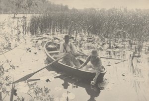 Sbírání leknínů, 1886 (foto) od Peter Henry Emerson