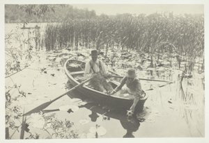 Sbírání leknínů od Peter Henry Emerson