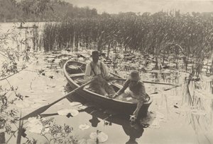 Sbírání leknínů od Peter Henry Emerson