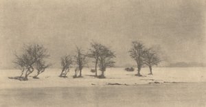 Gnarled-Thorn Trees, c. 1890, vytištěno ca. 1895.