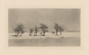 Skvrnité trnové stromy od Peter Henry Emerson