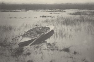 Střelec pracující na Fowl,1886 (foto) od Peter Henry Emerson