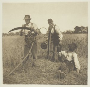V ječmenné sklizni (Suffolk) od Peter Henry Emerson