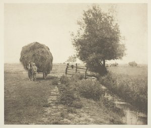 V Haysel (Norfolk) od Peter Henry Emerson