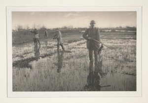 Muži loví v bažině od Peter Henry Emerson