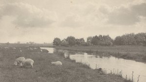 Na řece Bure, 1886 (foto) od Peter Henry Emerson