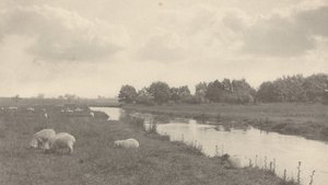 Na řece Bure, 1886. od Peter Henry Emerson