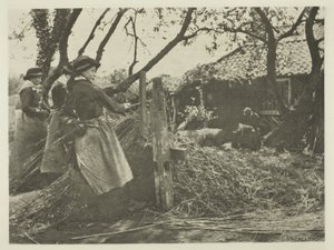 Peeling vrbového proutí (Norfolk) od Peter Henry Emerson