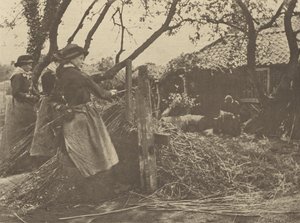 Osier  odlupování. [Norfolk]]. od Peter Henry Emerson