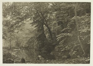 "Pike Pool" (odspodu) od Peter Henry Emerson