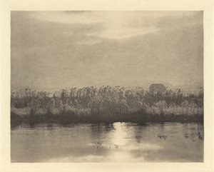 Rime Crystals, v roce 1895 nebo dříve (foto) od Peter Henry Emerson