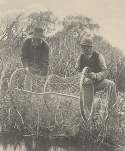 Sestavování sítě na luk,1886 (foto) od Peter Henry Emerson