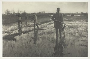 Střelba na bekovky od Peter Henry Emerson