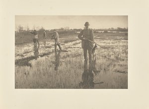  od Peter Henry Emerson