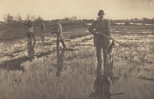  od Peter Henry Emerson