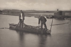 Nabírání úhoří sítě od Peter Henry Emerson