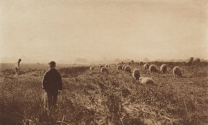Marshes v červnu od Peter Henry Emerson