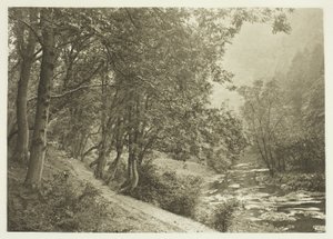 Stezka přes první údolí, Dove Dale od Peter Henry Emerson