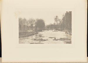 The Shoot, Amwell Magna Fishery od Peter Henry Emerson
