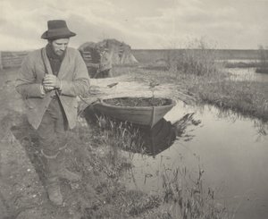 Tažení rákosu
