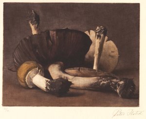Žlutá houba od Peter Vilhelm Ilsted