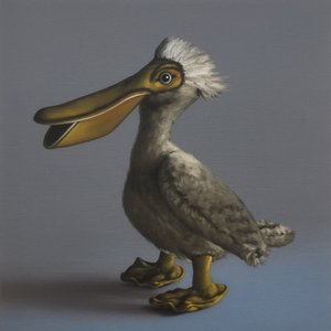 Pelikán, 2017 od Peter Jones
