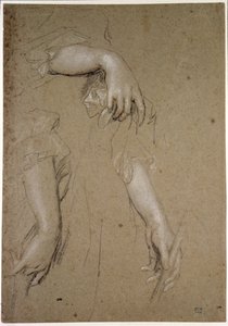 Studie rukou, 17. století (křída na papíře) od Peter Lely
