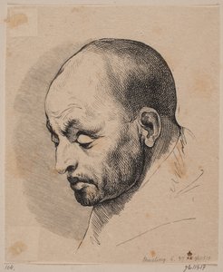 Hlava holohlavého muže od Peter Ludvig Meisling