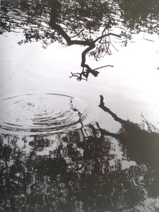 VINTAGE B&W PHOTO No.5, 1986, (FOTOGRAFIE) od Peter McClure