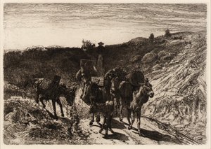 Vlak Burro, Nové Mexiko od Peter Moran