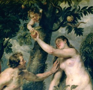 Adam a Eva (zkopírované z obrazu od Tiziana) (detail 51710) od Peter Paul Rubens