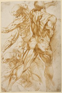 Anatomické studie od Peter Paul Rubens