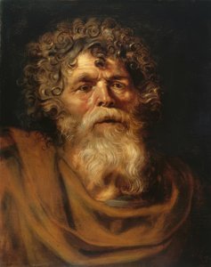 Portrét vousatého staříka od Peter Paul Rubens