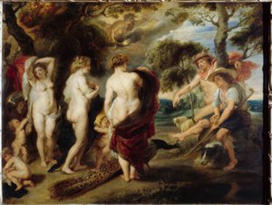 Rozsudek pařížského soudu od Peter Paul Rubens